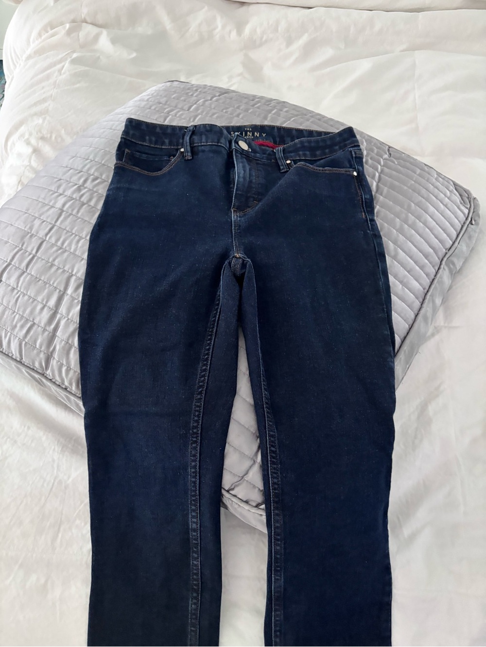Style & Co. Dark Indigo Skinny Jeans